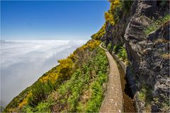 Levada da Bica da Cana 2