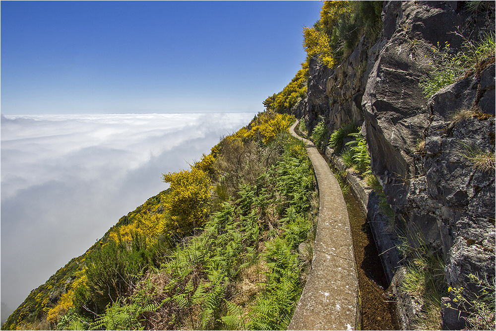 Levada da Bica da Cana 2.2