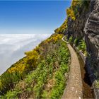 Levada da Bica da Cana 2.2