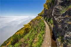 Levada da Bica da Cana 2.2