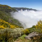 Levada da Bica da Cana 3