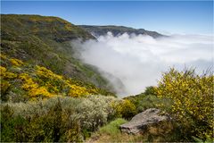 Levada da Bica da Cana 3