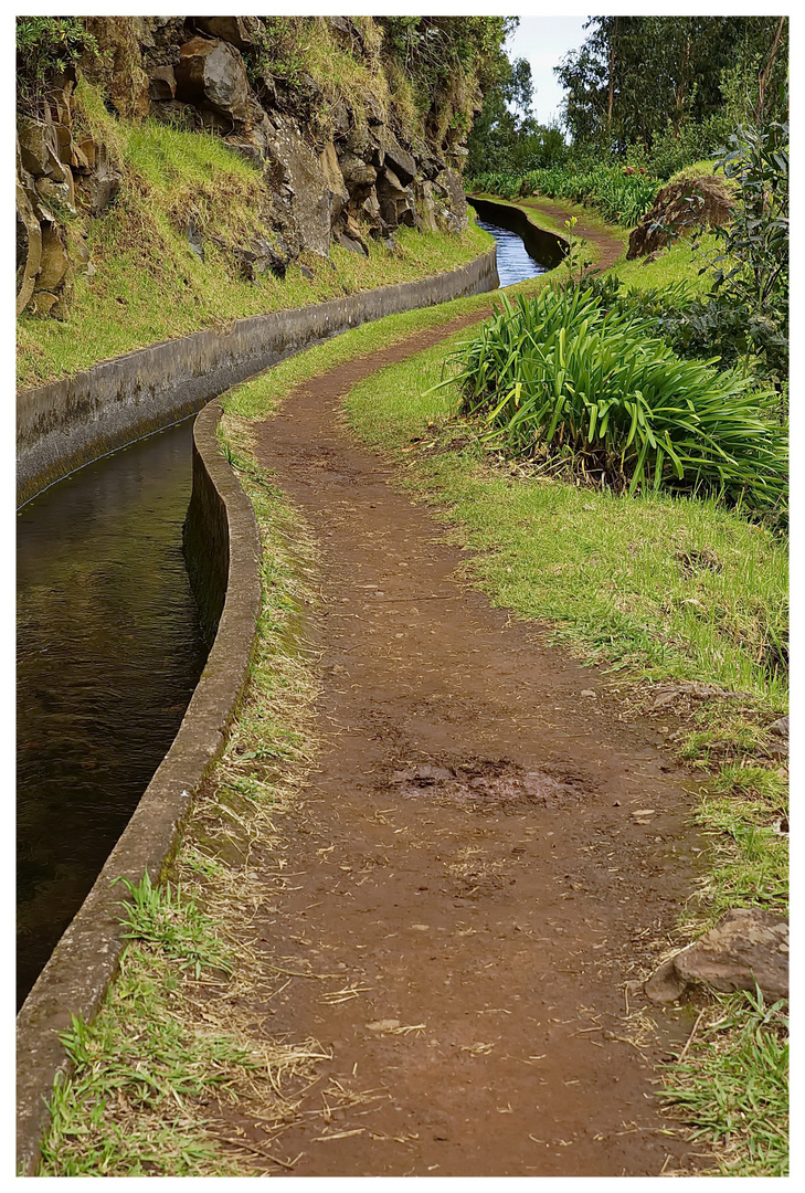 Levada da Ribeira da Janela