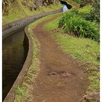 Levada da Ribeira da Janela