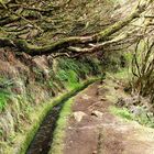 Levada da Ribeira Grande, Wanderweg auf Madeira