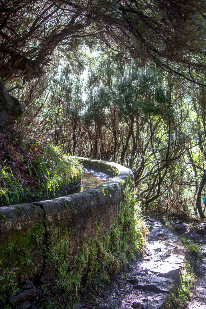 Levada