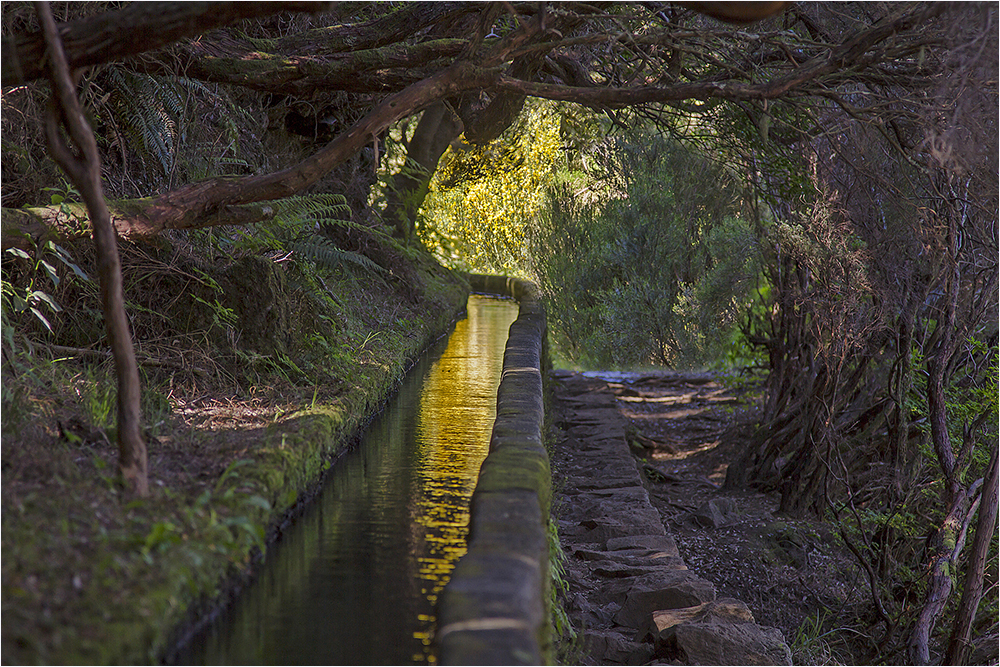 Levada das 25 Fontes