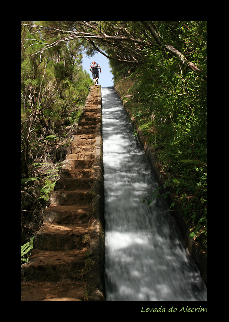 Levada do Alecrim - Wassertreppe