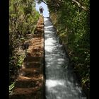 Levada do Alecrim - Wassertreppe