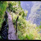 * Levada do Caldeirao Verde *