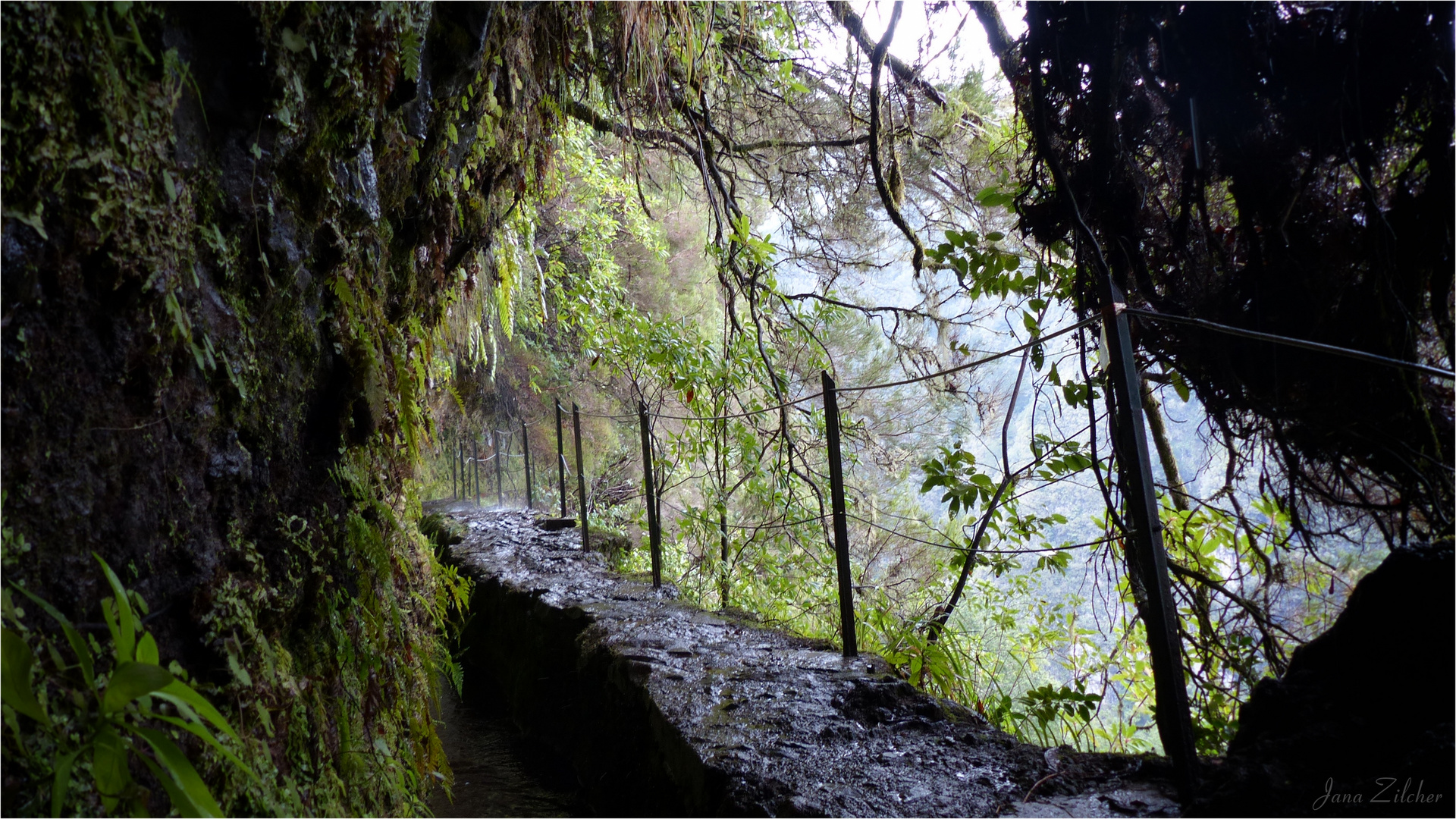 Levada do Caldeirão Verde