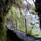 Levada do Caldeirão Verde