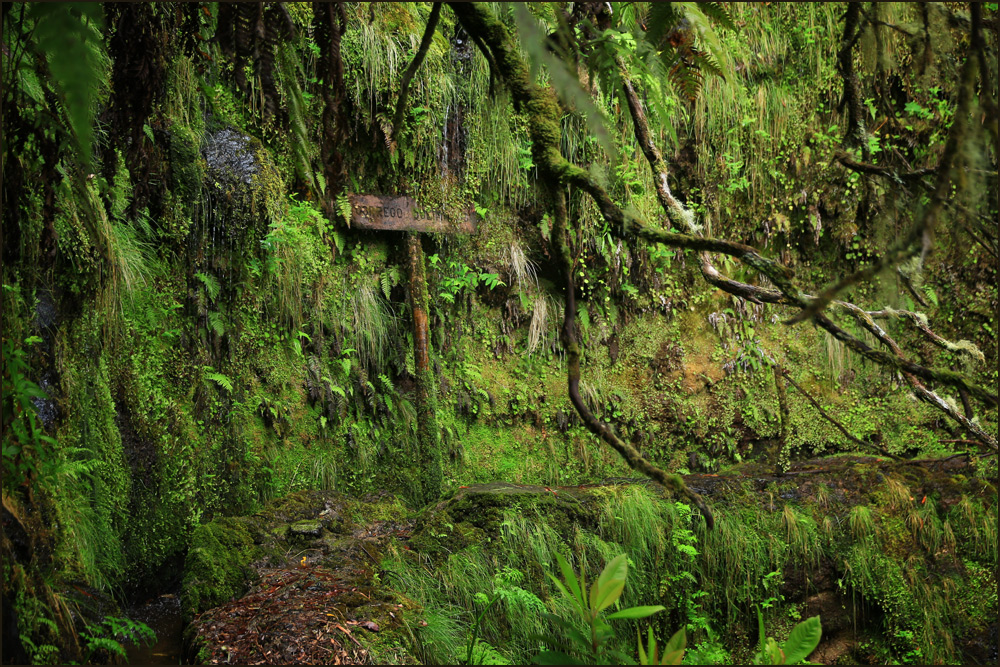 Levada do Caldeiro Verde