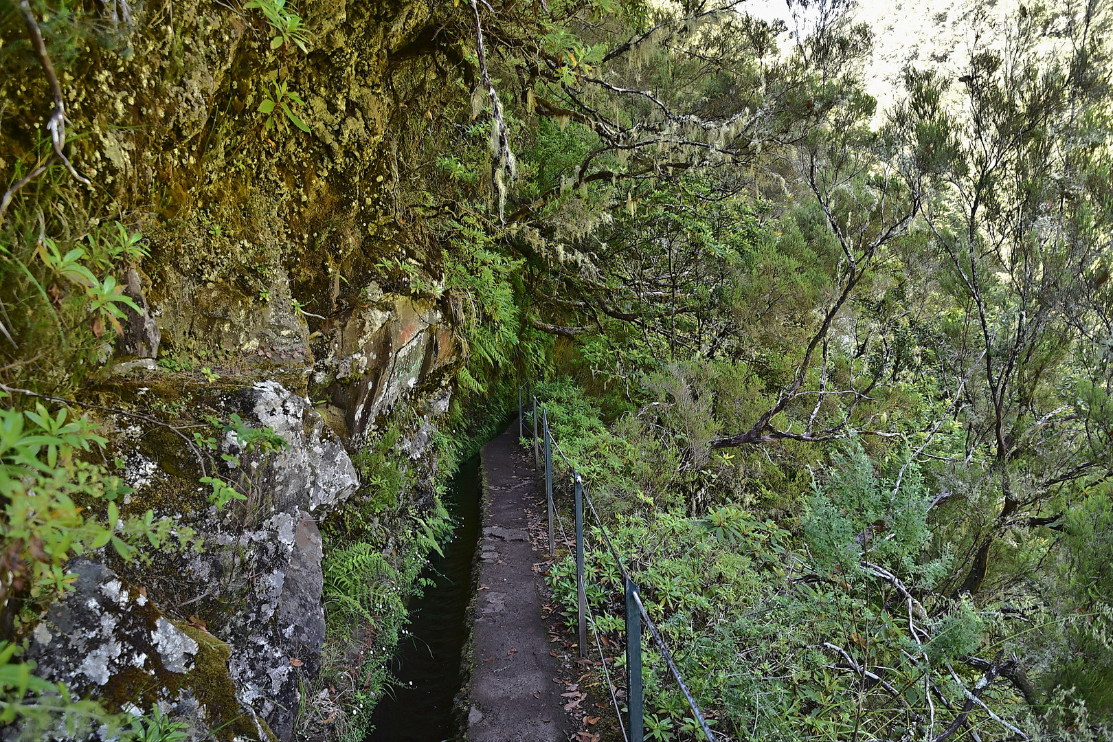 Levada do Caldeirão Verde / Madeira