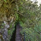 Levada do Caldeirão Verde / Madeira