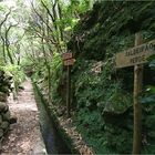 Levada do Calderão Verde