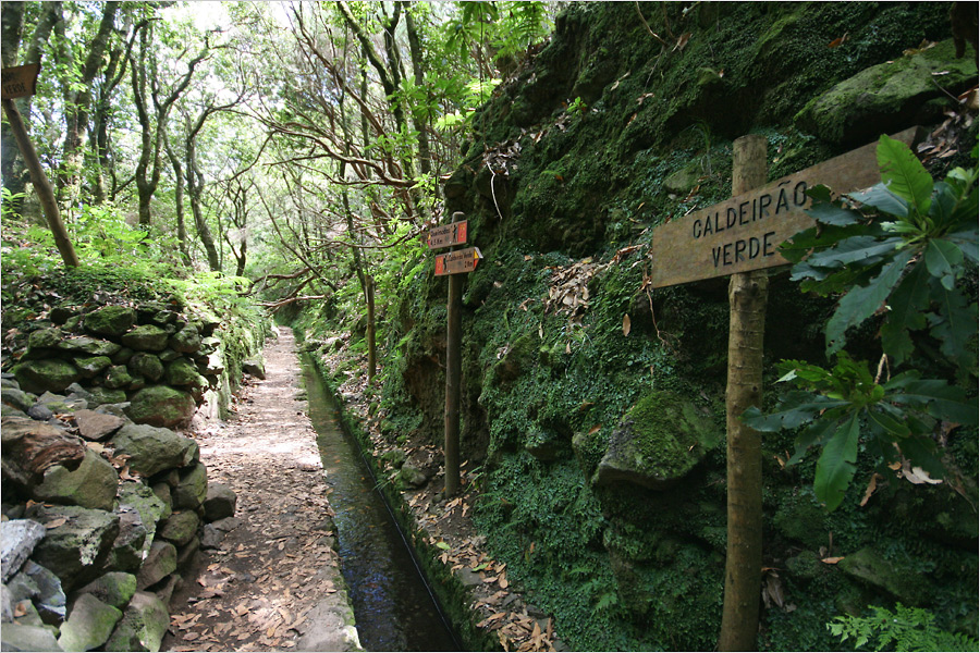 Levada do Calderão Verde