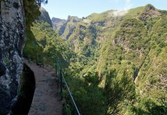 Levada do Calderão Verde3