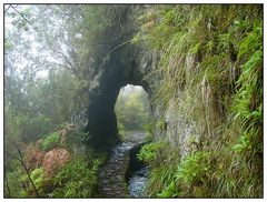 ~Levada do Furado~