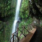 Levada do Janela