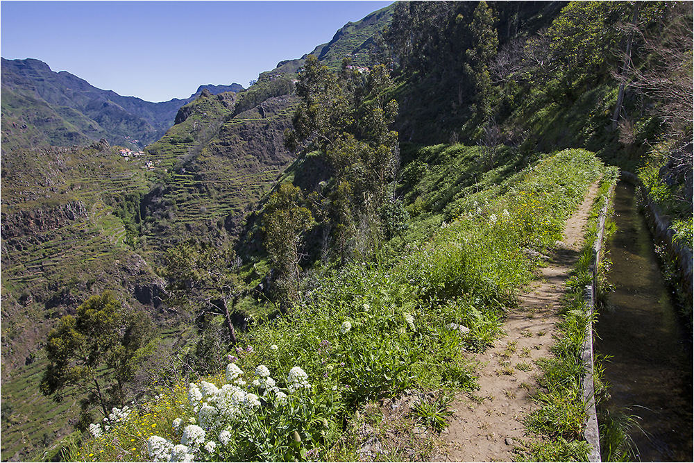 Levada do Norte 2