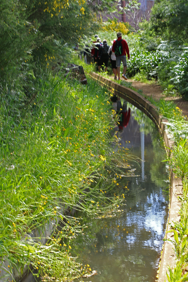 levada do norte  near eira