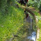 levada do norte  near eira