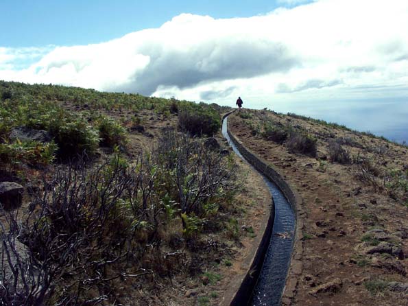 Levada do Paul auf Madeira