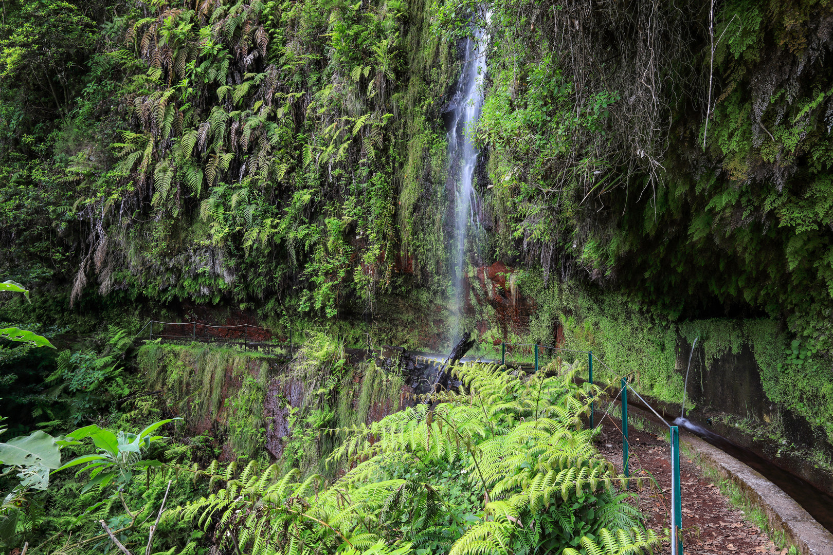 Levada do Rei, Madeia 2021