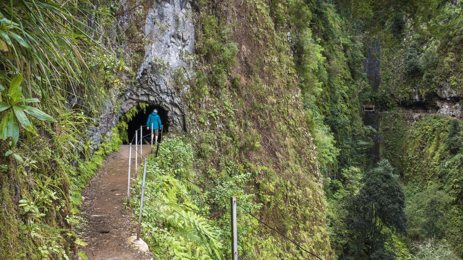 Levada do Ribeiro da Janela