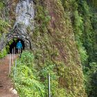 Levada do Ribeiro da Janela