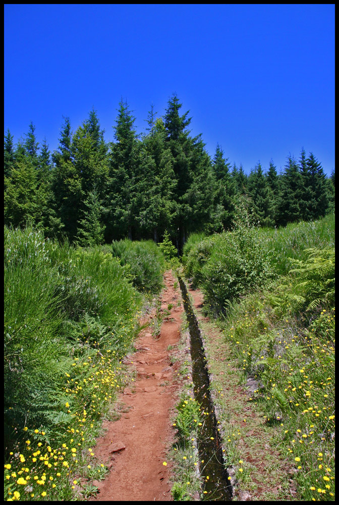 Levada