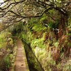 Levada im Madeira Urlaub