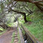 Levada im Tal von Rabacal im Nordwesten von Madeira