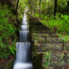 Levada-Kaskade auf Madeira