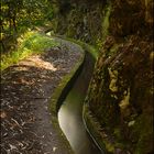 @ Levada (korr. nach Allenbach)