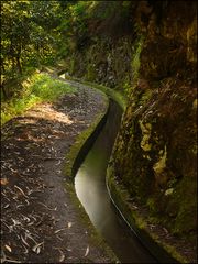 @ Levada (korr. nach Allenbach)