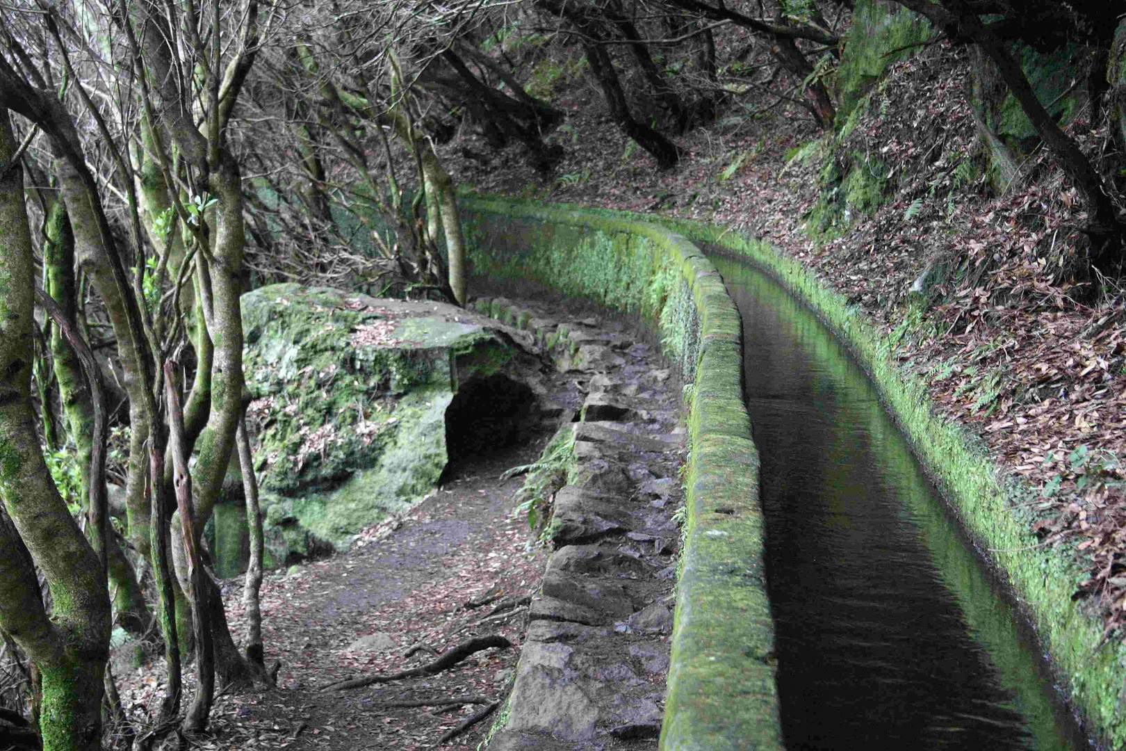 Levada / MADEIRA