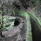 Levada / MADEIRA