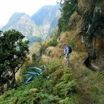 Levada, Madeira.