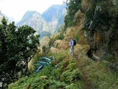 Levada, Madeira.