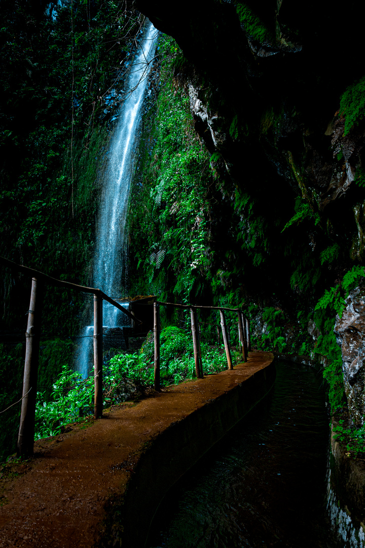 Levada Ribeira da Janela (Madeira)