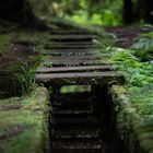 Levada-Trail - Insel Faila, Azoren