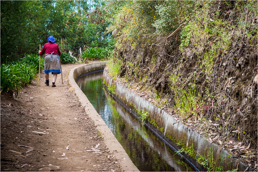 Levada Walk