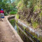 Levada Walk