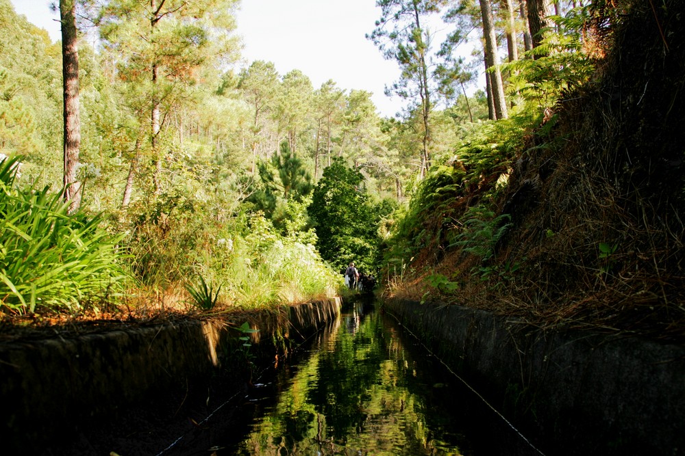 levada walking