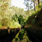 levada walking