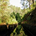 Levada walking -- ohne --