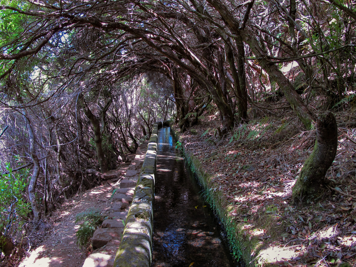 Levada Wanderung 01