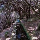 Levada Wanderung 01